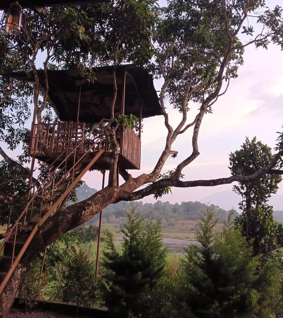 Meppādi Greenery Holiday Homes